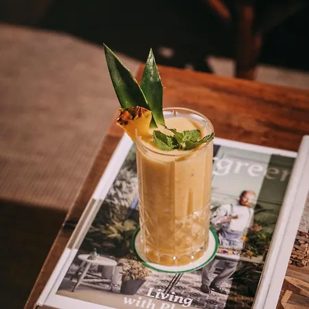 Hotel Torel Terra Brava 5*